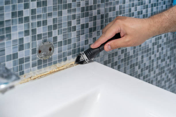 Best Same-Day Mold Removal  in Springs, NY
